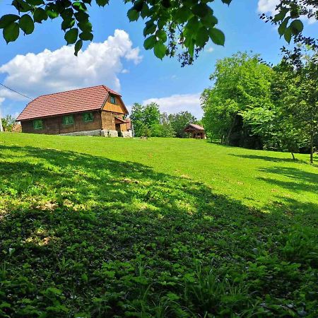 Bakina Iza Villa Duga Resa Kültér fotó