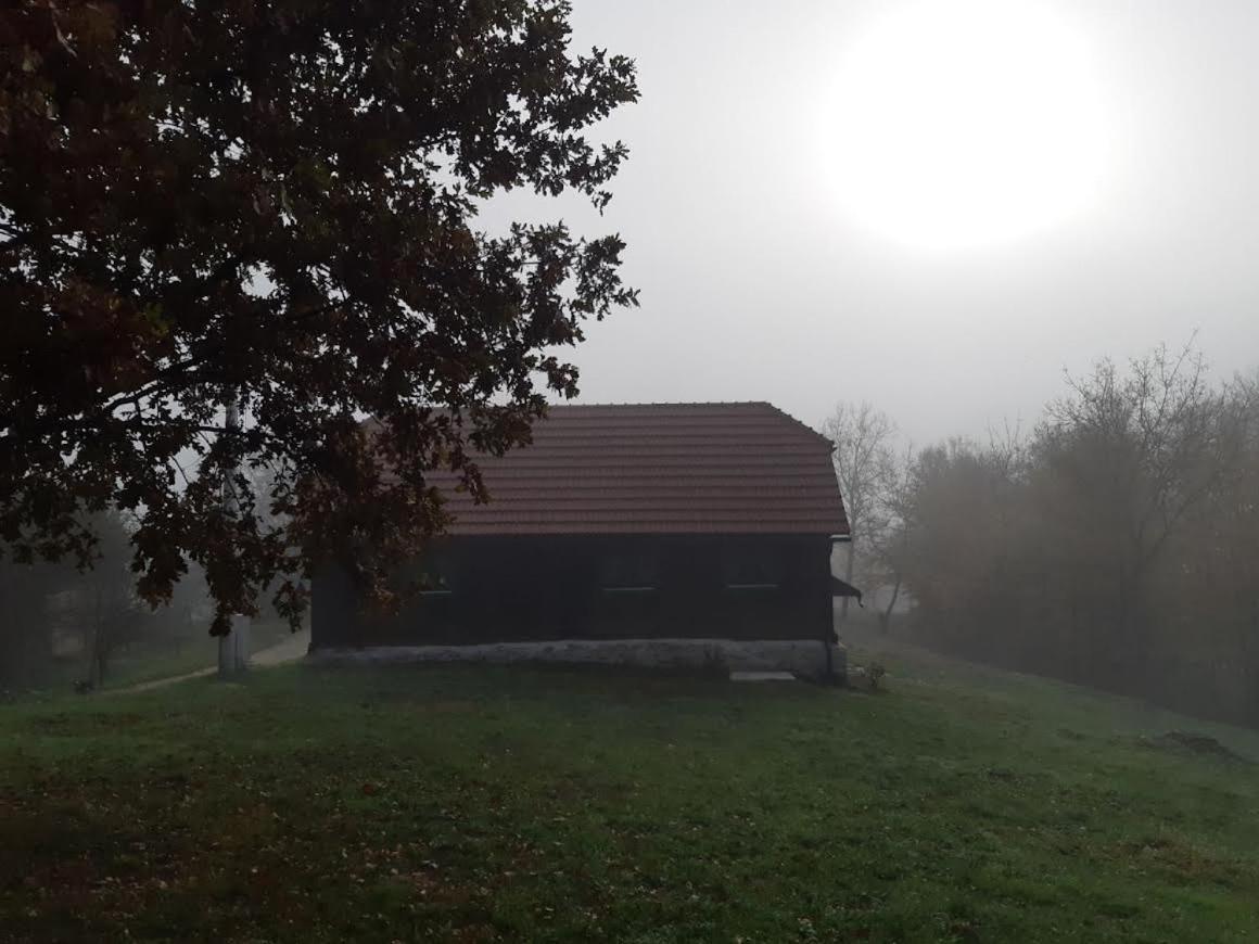 Bakina Iza Villa Duga Resa Kültér fotó