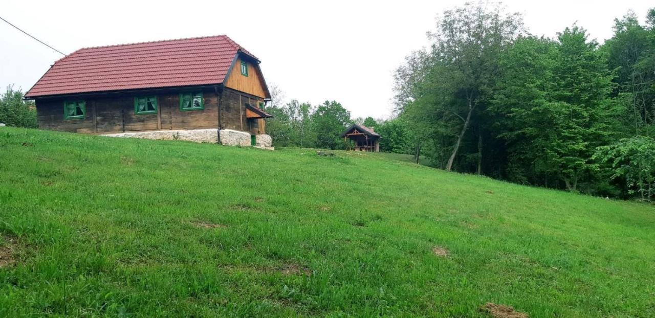Bakina Iza Villa Duga Resa Kültér fotó