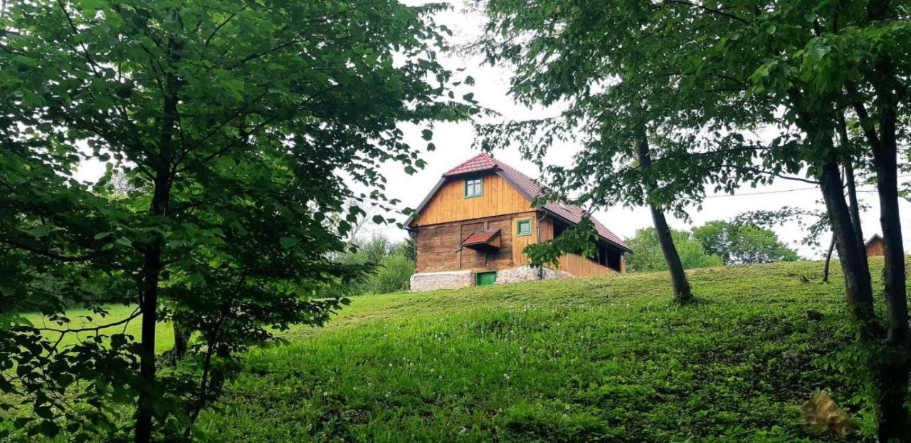 Bakina Iza Villa Duga Resa Kültér fotó