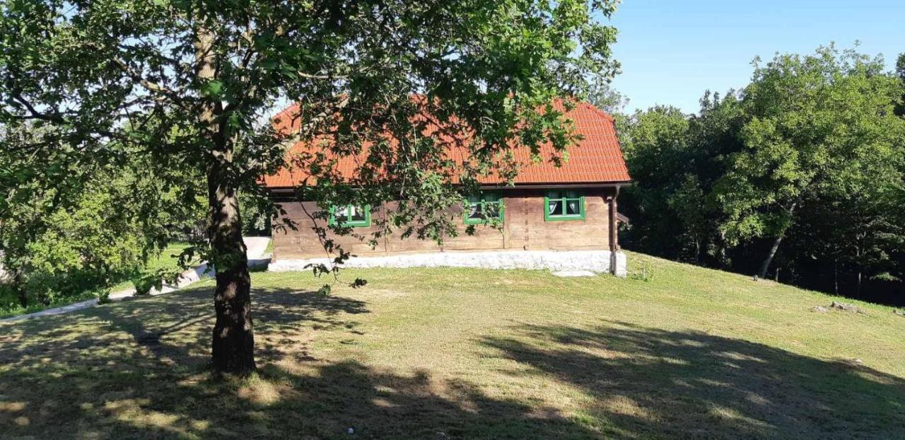 Bakina Iza Villa Duga Resa Kültér fotó