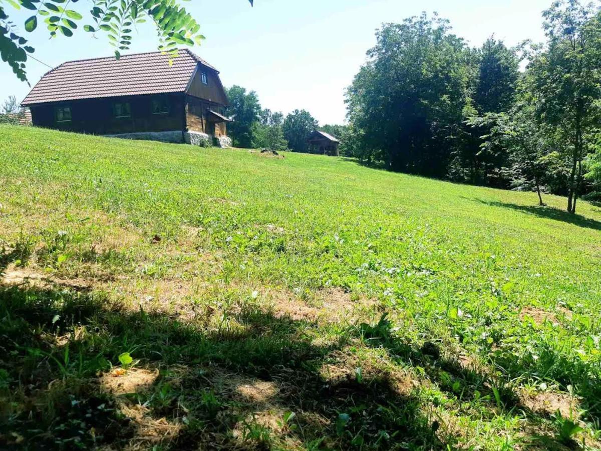 Bakina Iza Villa Duga Resa Kültér fotó