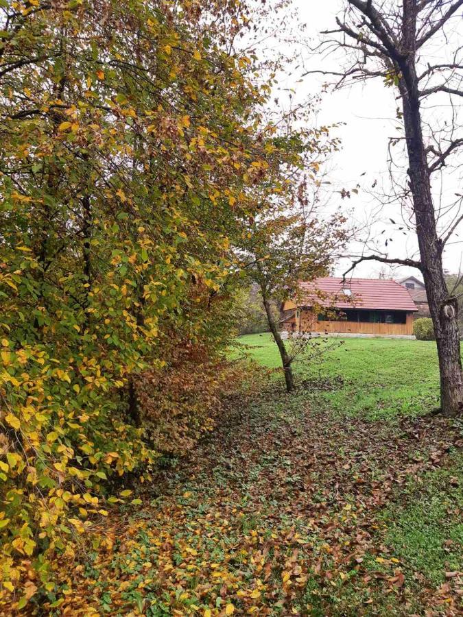 Bakina Iza Villa Duga Resa Kültér fotó