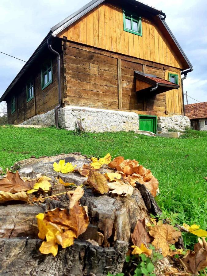 Bakina Iza Villa Duga Resa Kültér fotó