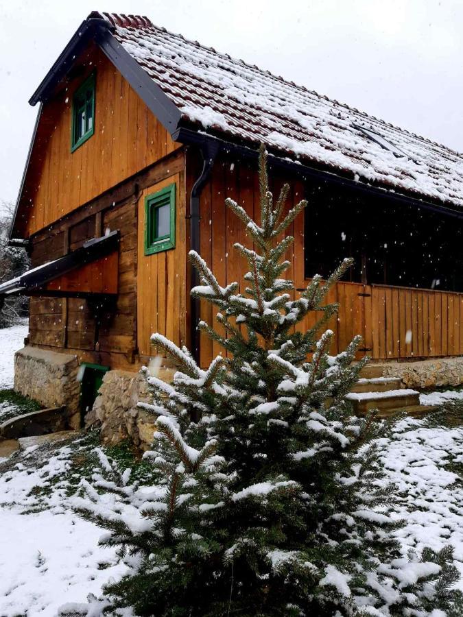 Bakina Iza Villa Duga Resa Kültér fotó