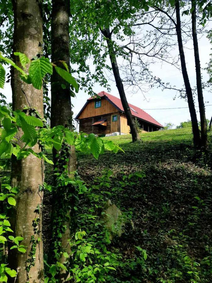 Bakina Iza Villa Duga Resa Kültér fotó
