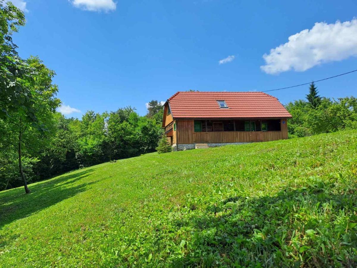 Bakina Iza Villa Duga Resa Kültér fotó